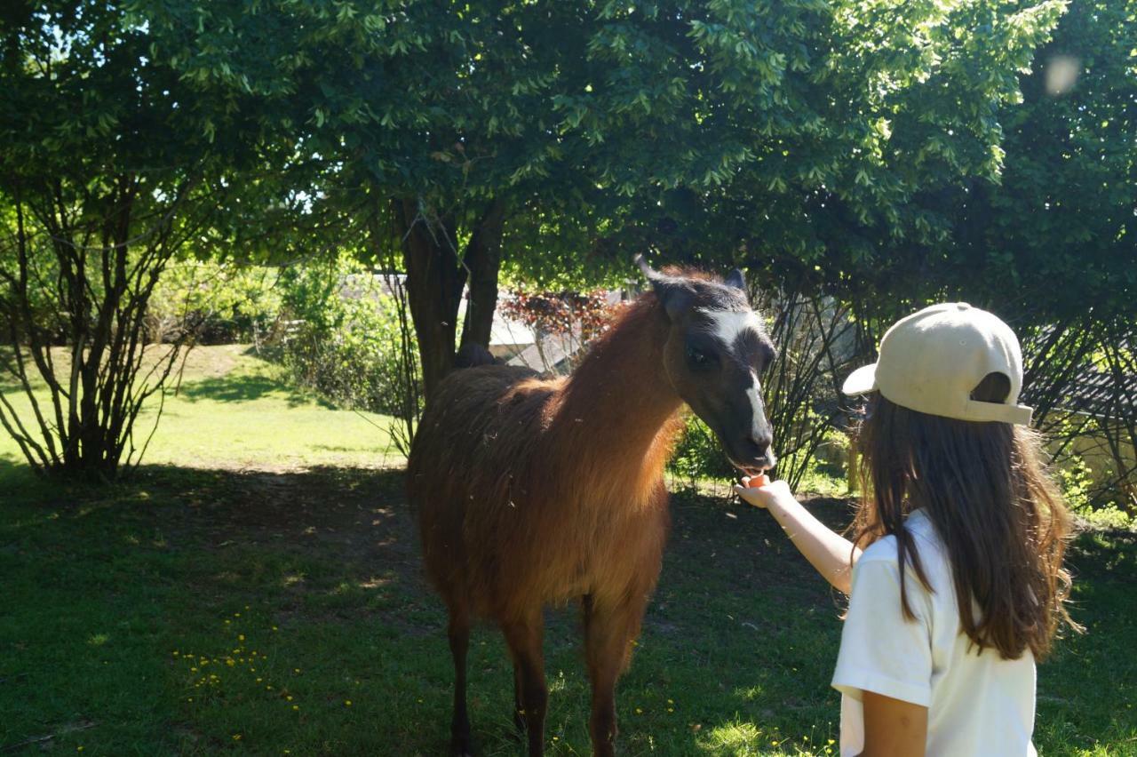 The Llama Farm France Saint-Cyr-Les-Champagnes Exterior foto