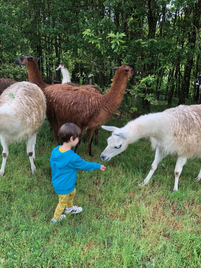 The Llama Farm France Saint-Cyr-Les-Champagnes Exterior foto